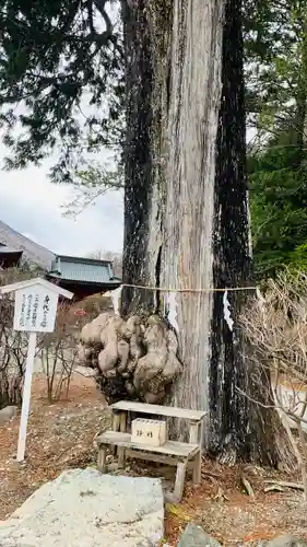 中禅寺(栃木県)