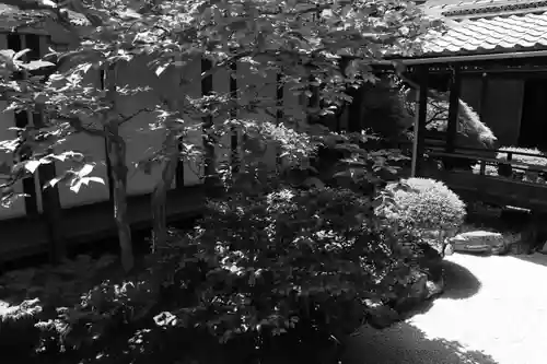 観智院（東寺子院）の庭園