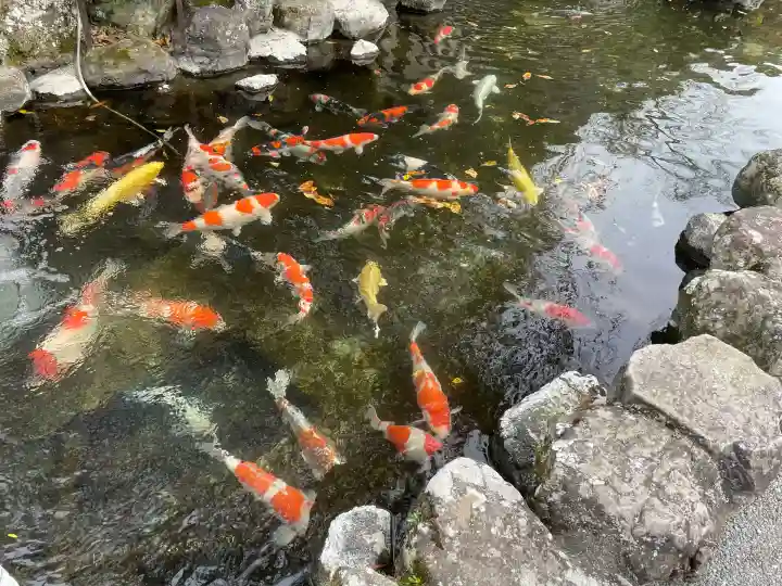 久遠寺(山梨県)