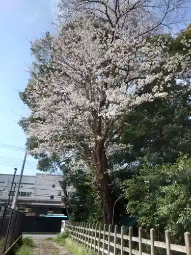 倉見神社(神奈川県)