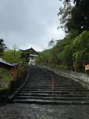 熊野那智大社の{uncategorized: "未分類", other: "その他", undefined: "問題あり", building: "その他建物", grave: "お墓", sacred_gate: "鳥居", guardian: "狛犬", statue: "像", buddha: "仏像", history: "歴史", nature: "自然", garden: "庭園", animal: "動物", pagoda: "塔", temizu: "手水舎", mountain_gate: "山門・神門", sanctuary: "本殿・本堂", subordinate: "末社・摂社", art: "芸術", scenery: "景色", jizo: "地蔵", ema: "絵馬", goshuin: "御朱印", omikuji: "おみくじ", items: "授与品その他", amulet: "お守り", goshuincho: "御朱印帳", eats: "食事", festival: "お祭り", votive_dance: "神楽", shichigosan: "七五三参", wedding: "結婚式", experience: "体験その他", initially: "初詣", around: "周辺", anti_infection: "感染症対策"}