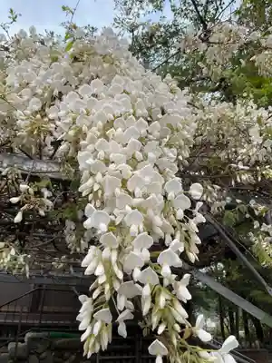 生蓮寺 跡(岐阜県)