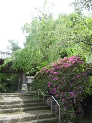 安國論寺（安国論寺）の景色