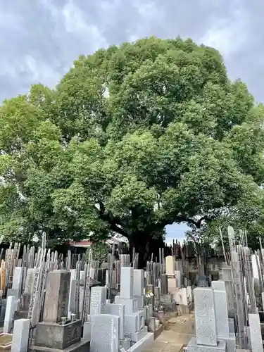 感應寺(東京都)