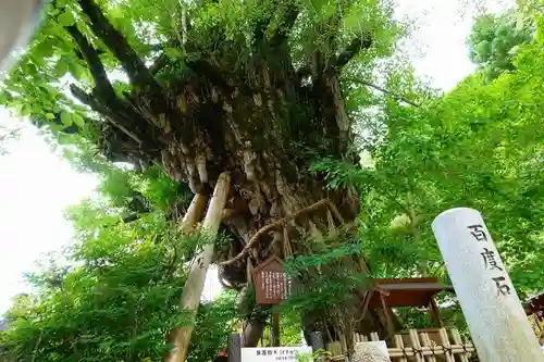 葛城一言主神社の自然