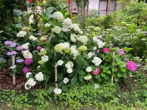 酒見神社(愛知県)