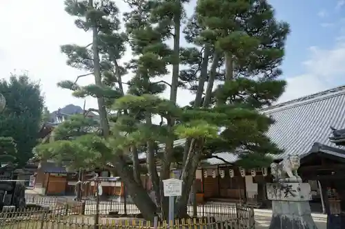 大願寺の本殿・本堂