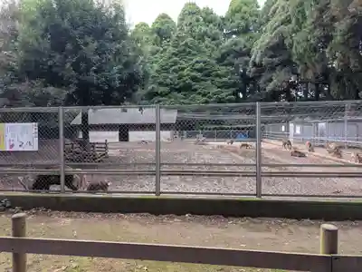 鹿島神宮(茨城県)