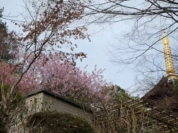 高幡不動尊 金剛寺(東京都)