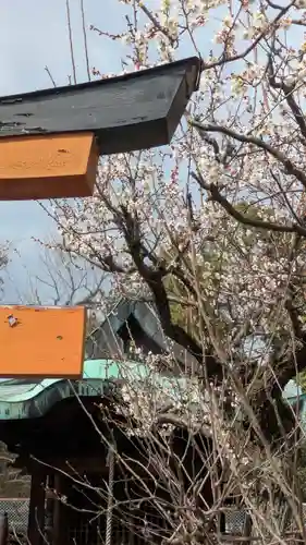 惠心院（恵心院）(京都府)