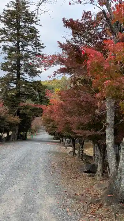 平岡八幡宮(京都府)
