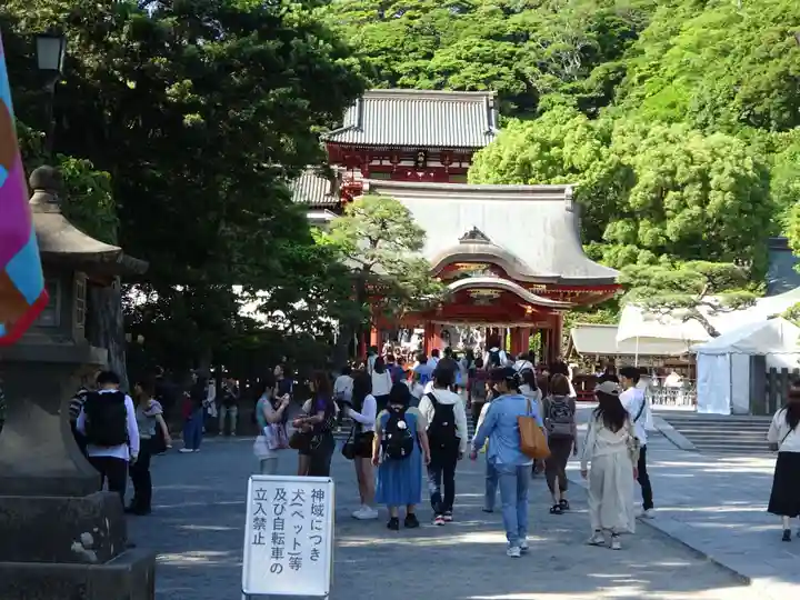 鶴岡八幡宮(神奈川県)