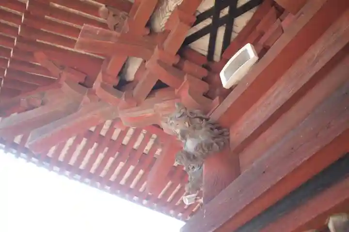 不動院(板橋不動尊)の本殿・本堂