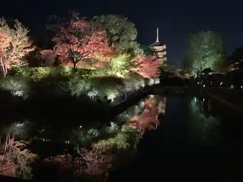 東寺（教王護国寺）の景色