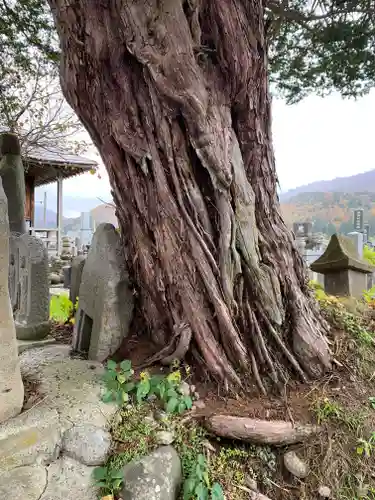 照国寺(福島県)