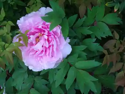 長福寺(神奈川県)