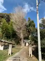 面足神社(千葉県)