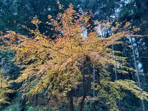 大宮温泉神社(栃木県)