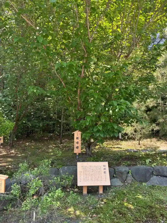 寒川神社の{uncategorized: "未分類", other: "その他", undefined: "問題あり", building: "その他建物", grave: "お墓", sacred_gate: "鳥居", guardian: "狛犬", statue: "像", buddha: "仏像", history: "歴史", nature: "自然", garden: "庭園", animal: "動物", pagoda: "塔", temizu: "手水舎", mountain_gate: "山門・神門", sanctuary: "本殿・本堂", subordinate: "末社・摂社", art: "芸術", scenery: "景色", jizo: "地蔵", ema: "絵馬", goshuin: "御朱印", omikuji: "おみくじ", items: "授与品その他", amulet: "お守り", goshuincho: "御朱印帳", eats: "食事", festival: "お祭り", votive_dance: "神楽", shichigosan: "七五三参", wedding: "結婚式", experience: "体験その他", initially: "初詣", around: "周辺", anti_infection: "感染症対策"}
