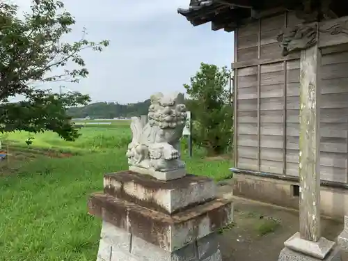 本織神社の狛犬