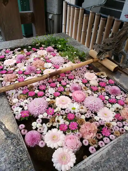 高円寺氷川神社(東京都)