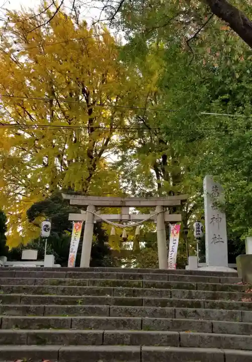 葛西神社の鳥居