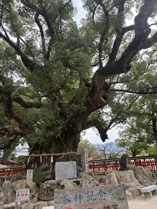 宇美八幡宮(福岡県)