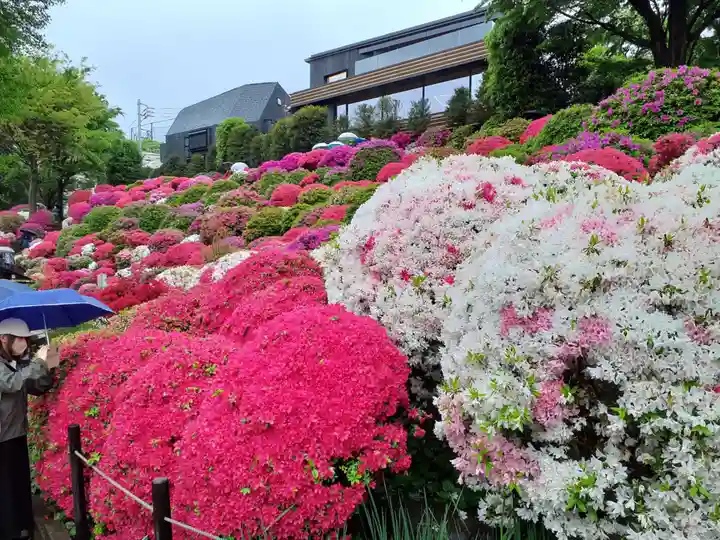 根津神社の庭園