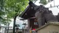 三島神社の狛犬