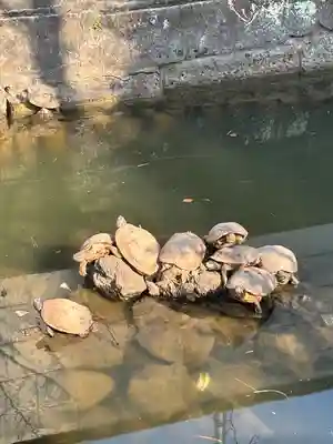 磐井神社(東京都)