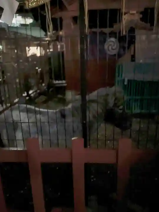 神田神社(神田明神)の動物