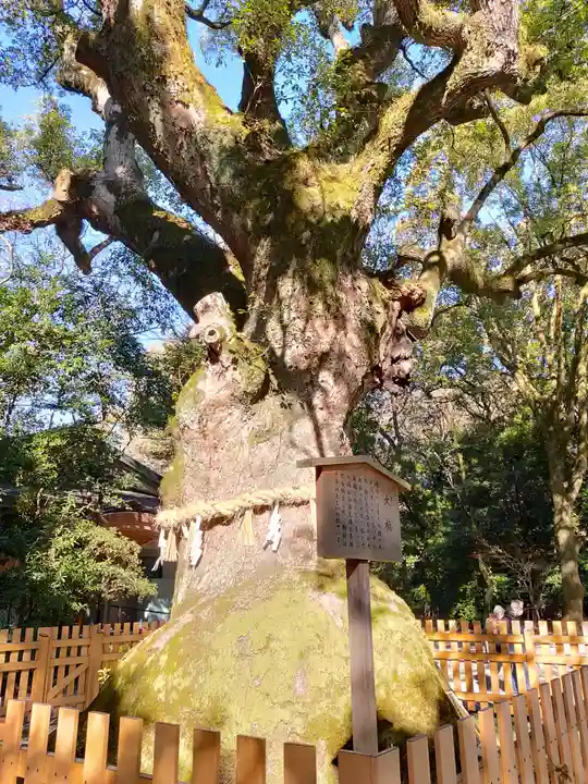 熱田神宮の自然
