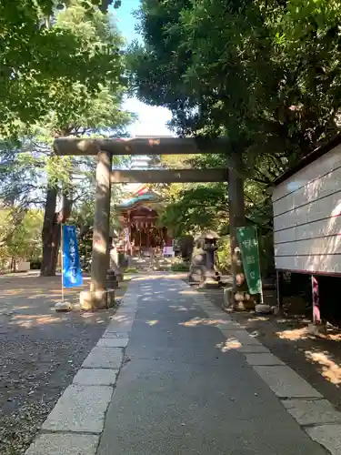 青山熊野神社の鳥居
