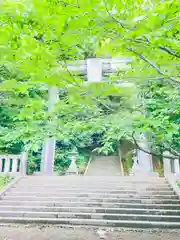 菊池神社(熊本県)