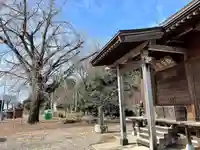 古泉馬頭観世音(栃木県)