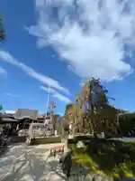 常性寺(東京都)