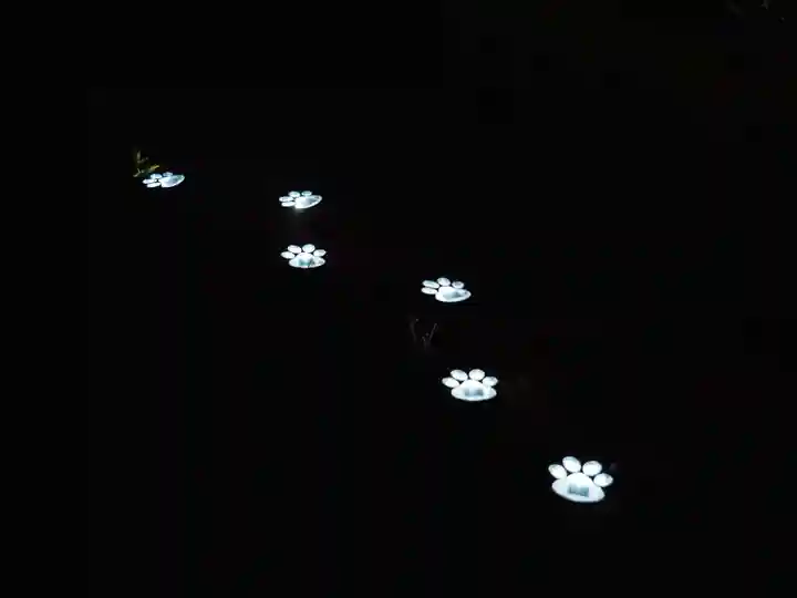 天王山 安楽寺(福井県)