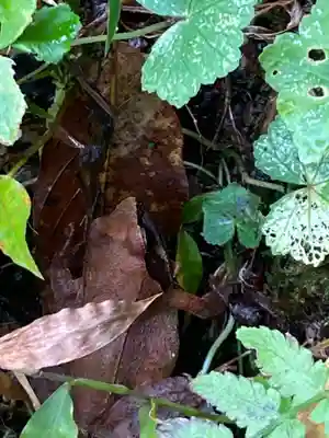 安養寺（立木観音）(滋賀県)