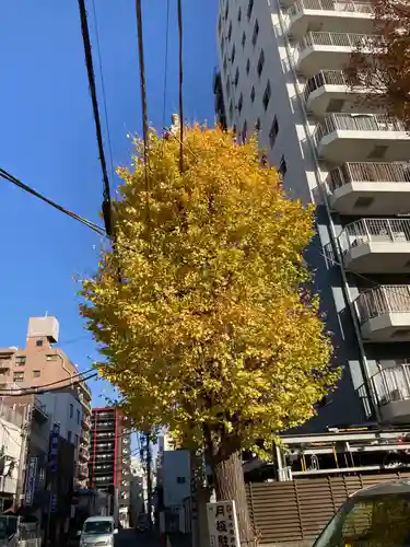 恵比寿神社の自然