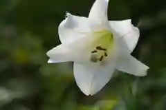 豊景神社の自然