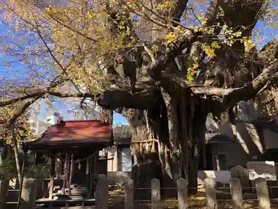 姥神神社(宮城県)