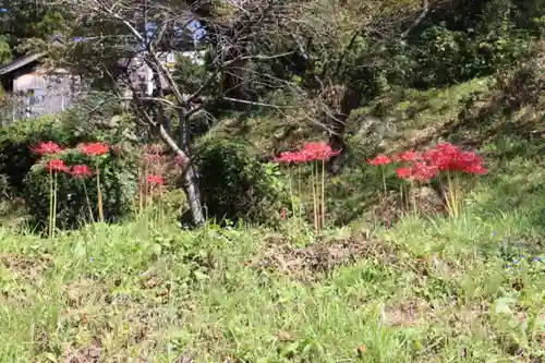 長屋神社の庭園