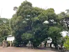 東海市熊野神社(愛知県)