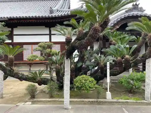 随鴎寺(兵庫県)