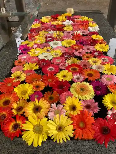 長沼八幡宮(栃木県)