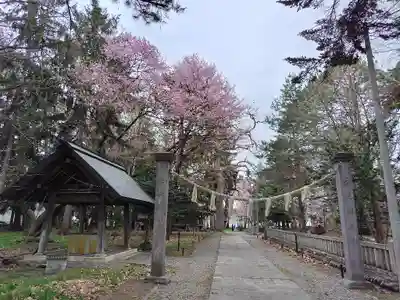 東川神社の鳥居