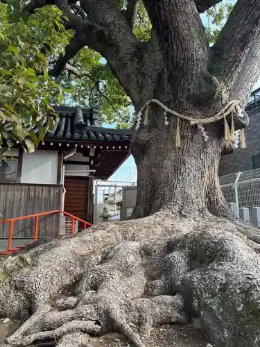 阿保神社(大阪府)