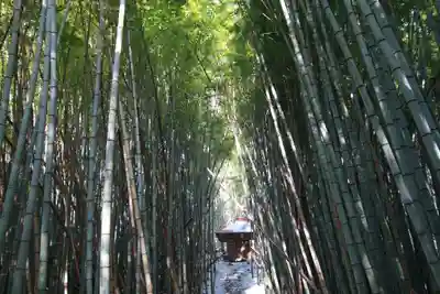 大日如来堂の景色