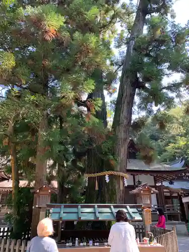 大神神社の自然