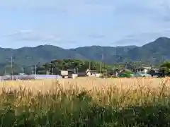 雷八幡神社(香川県)